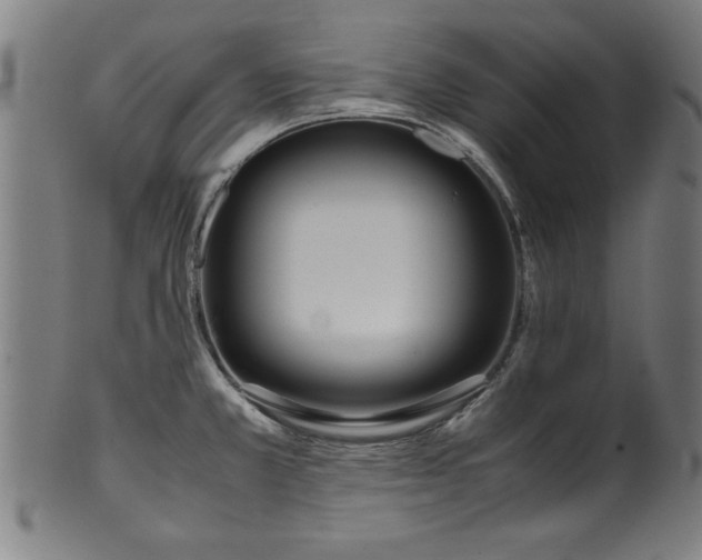 X0000099931381200806061443