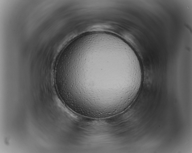 X0000099931384200806061443