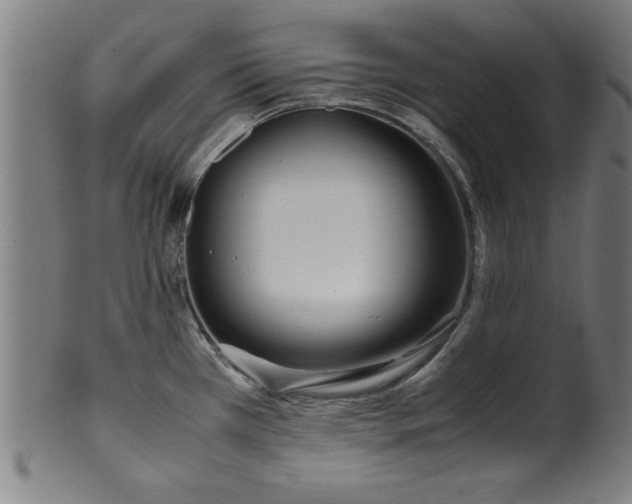 X0000099931385200806061443