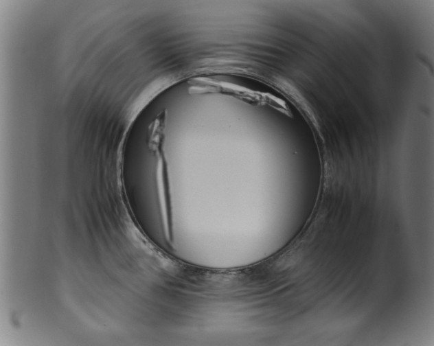 X0000099931386200806061443