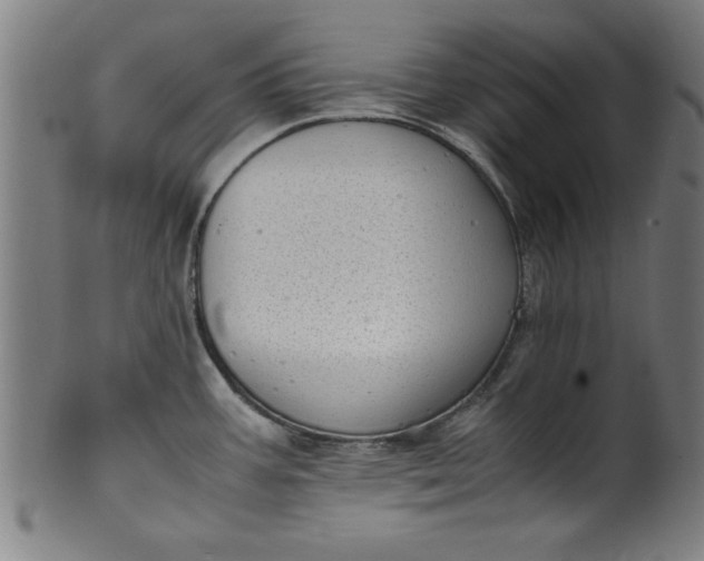 X0000099931387200806061443