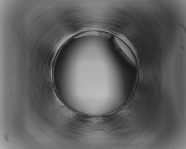 X0000099931388200806061443