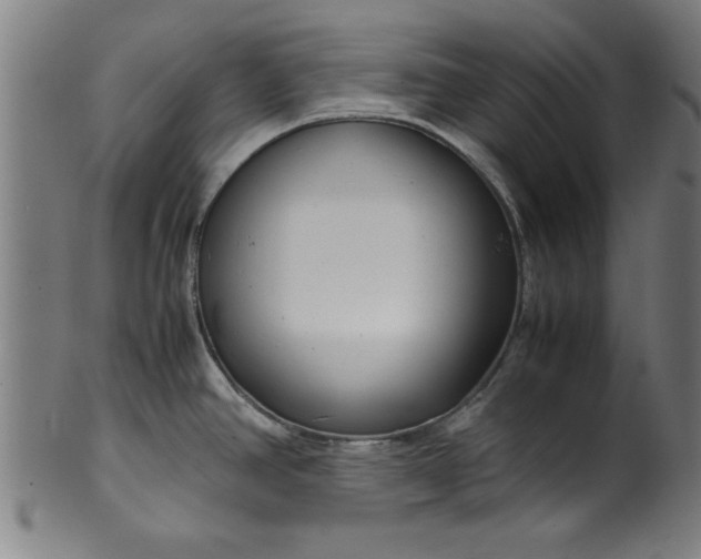 X0000099931390200806061443