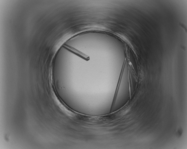 X0000099931391200806061443