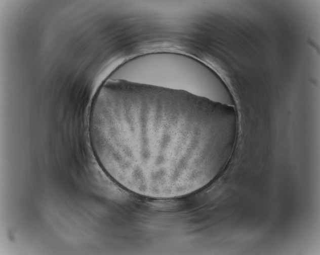 X0000099931392200806061443