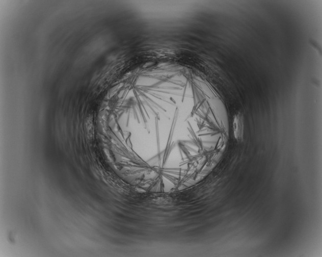 X0000099931395200806061442