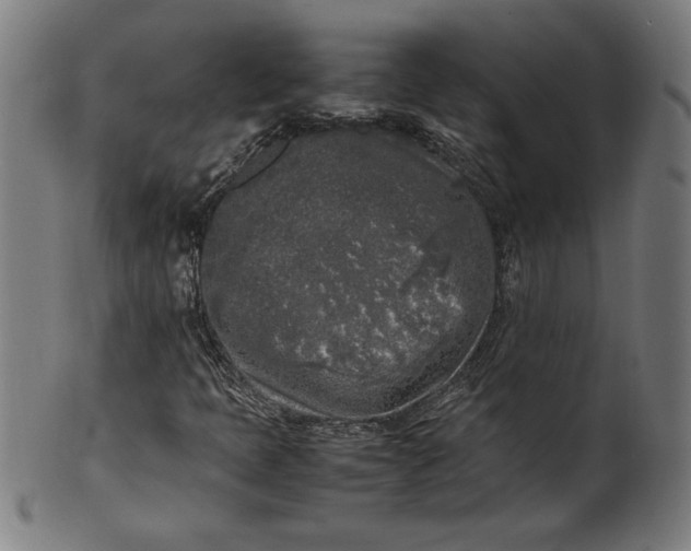 X0000099931397200806061442