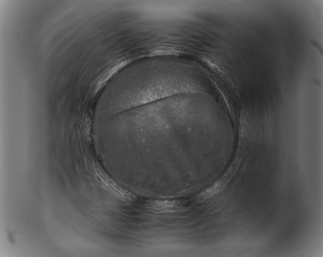 X0000099931401200806061443