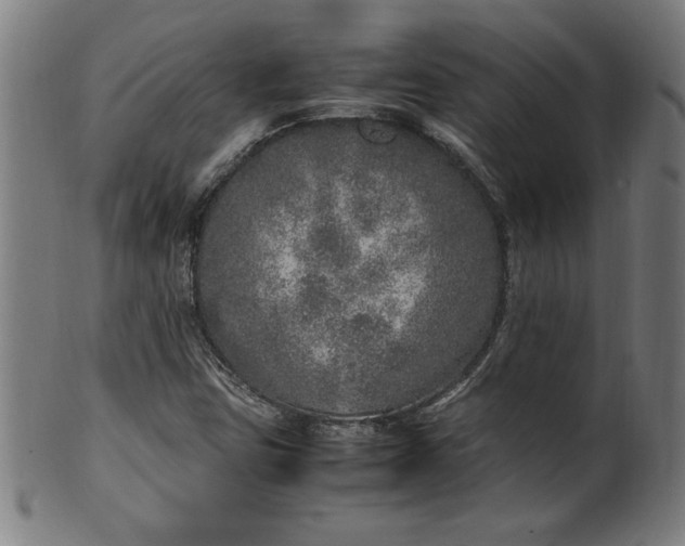 X0000099931403200806061443