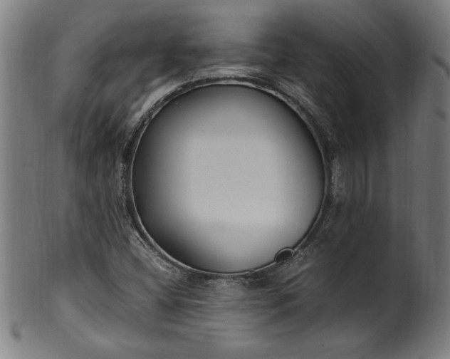 X0000099931404200806061443