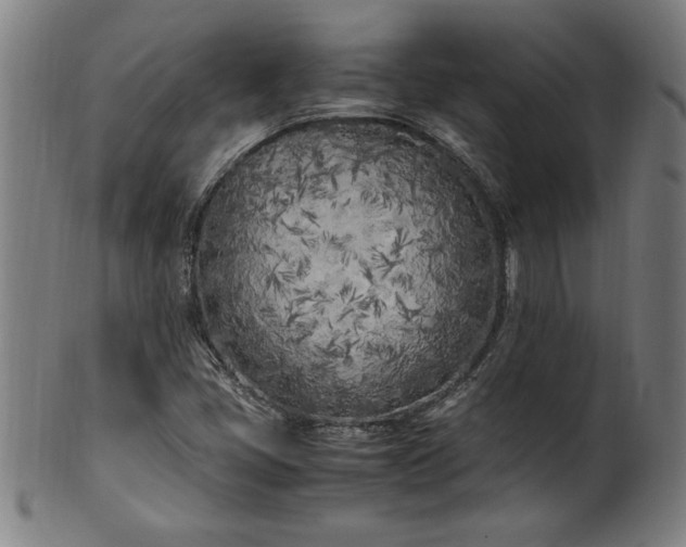 X0000099931405200806061443