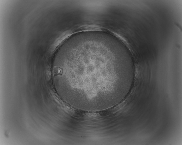 X0000099931407200806061443