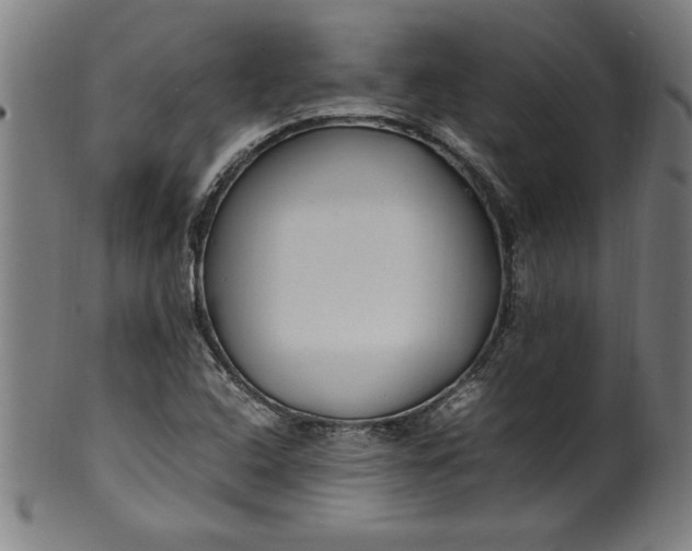 X0000099931408200806061443