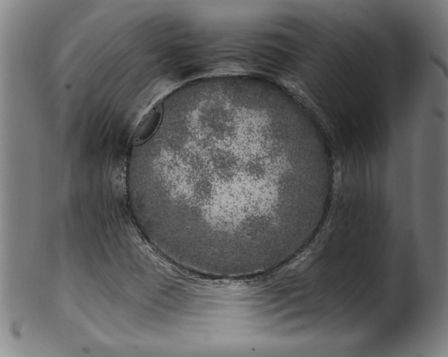 X0000099931409200806061443