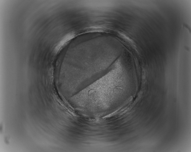 X0000099931411200806061443