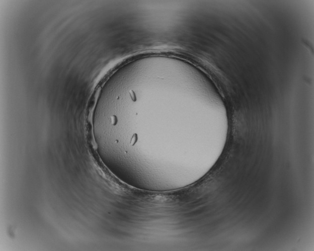 X0000099931412200806061443