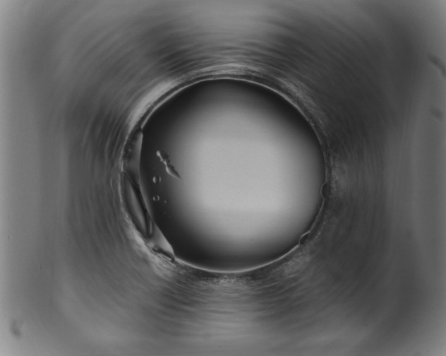 X0000099931418200806061443