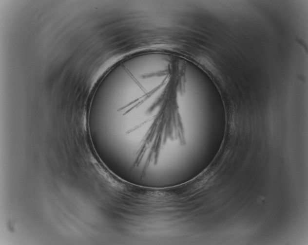 X0000099931420200806061443