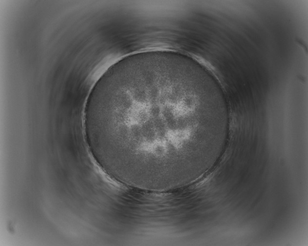 X0000099931423200806061443