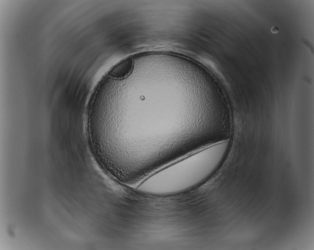 X0000099931424200806061443