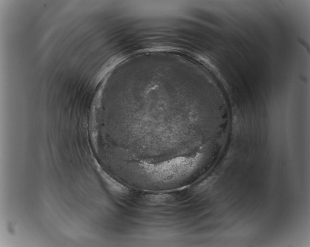 X0000099931425200806061443