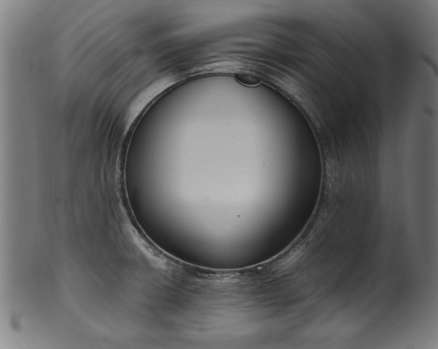 X0000099931426200806061443