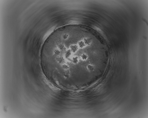 X0000099931427200806061443