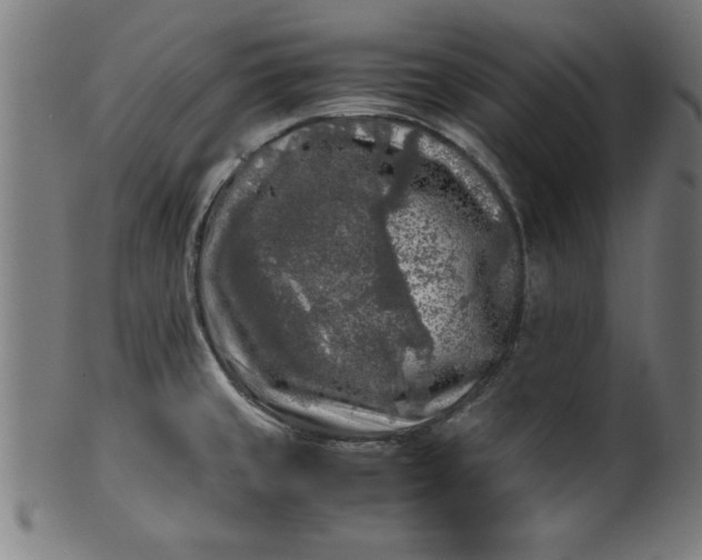 X0000099931429200806061443