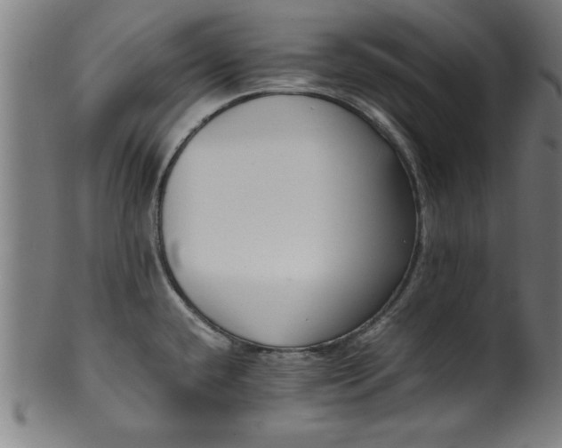 X0000099931432200806061443