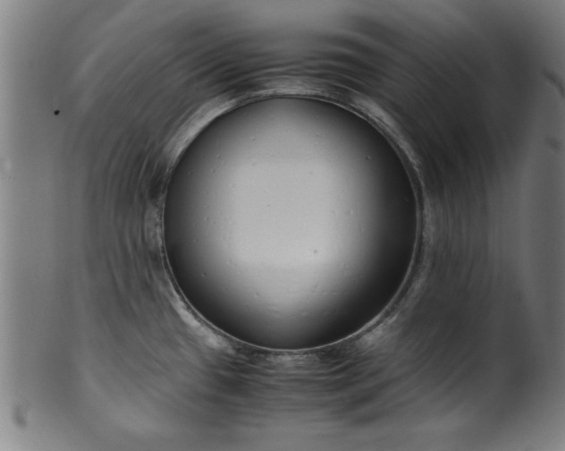 X0000099931433200806061443