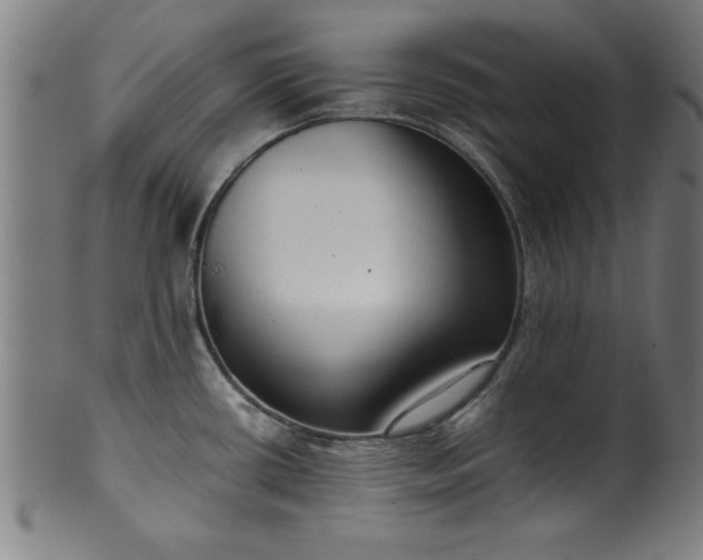 X0000099931434200806061443