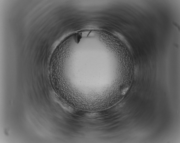 X0000099931435200806061443