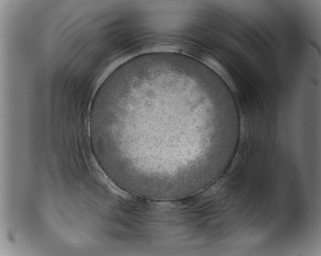 X0000099931436200806061443