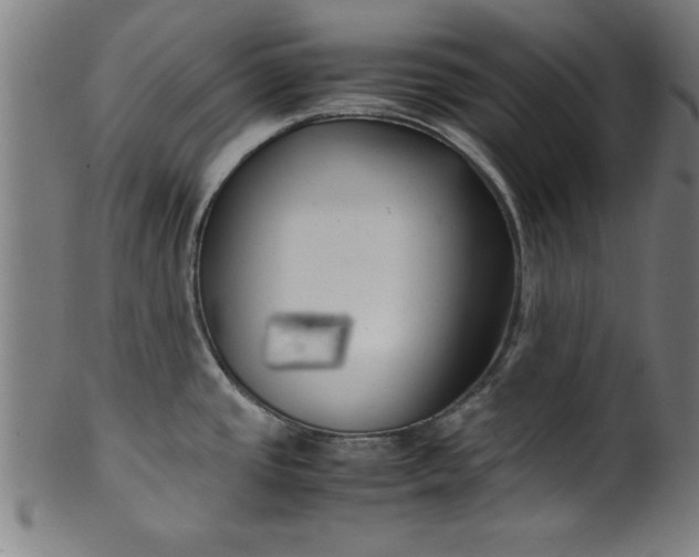 X0000099931437200806061443