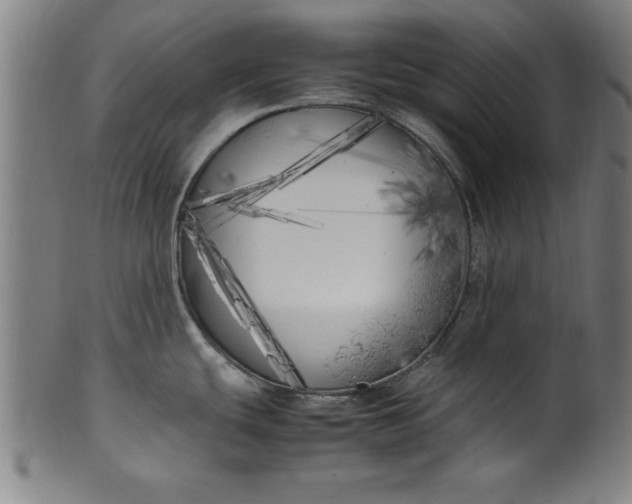 X0000099931439200806061443