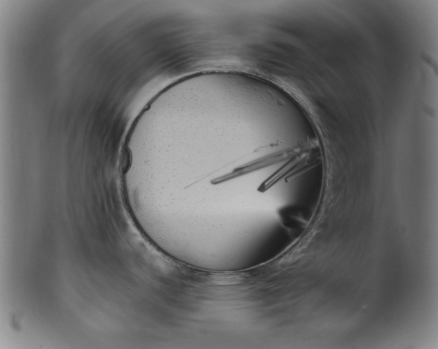 X0000099931440200806061443