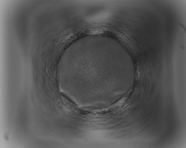 X0000099931441200806061442