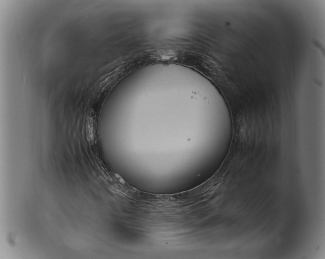 X0000099931442200806061442