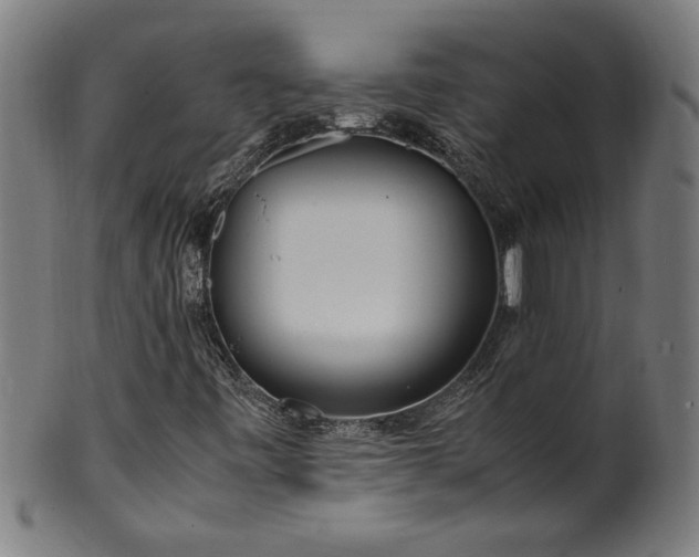 X0000099931443200806061442