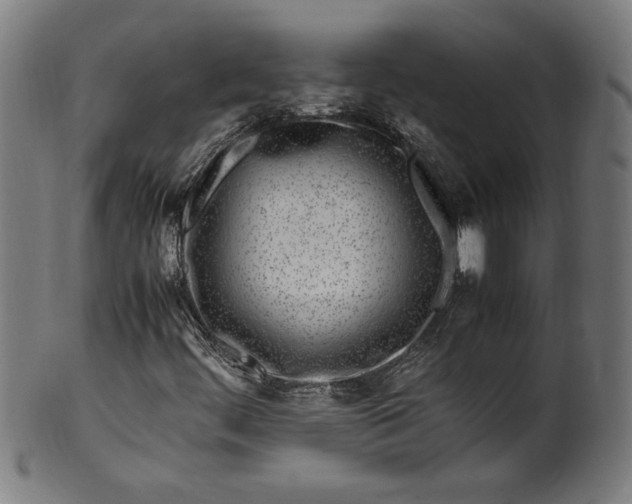 X0000099931444200806061442