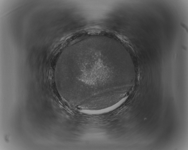 X0000099931445200806061442