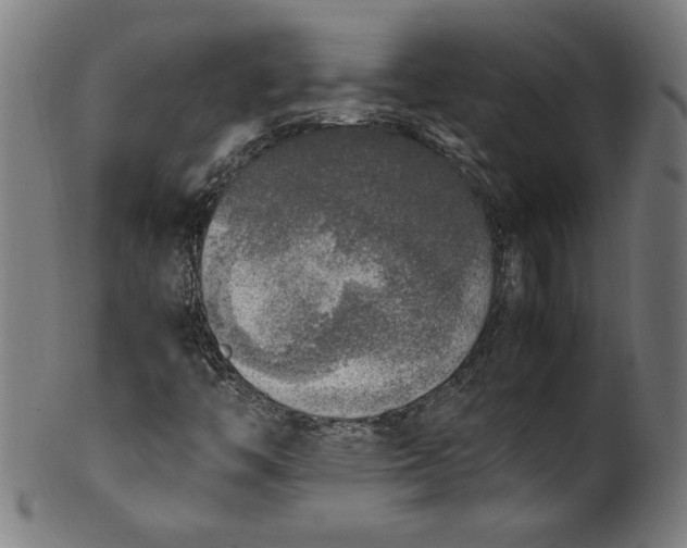 X0000099931446200806061442