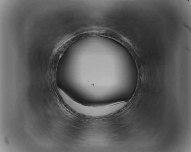 X0000099931448200806061442