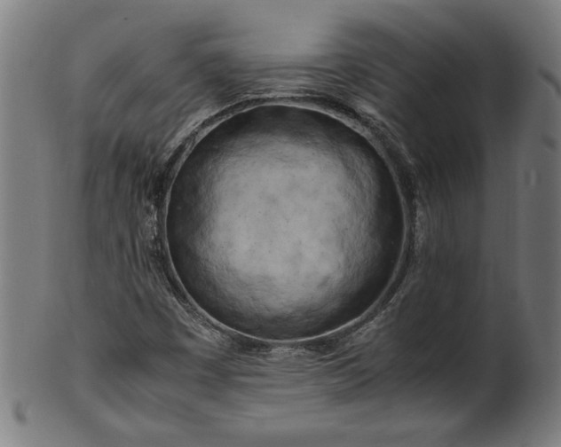 X0000099931449200806061442