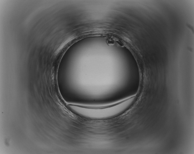 X0000099931450200806061442