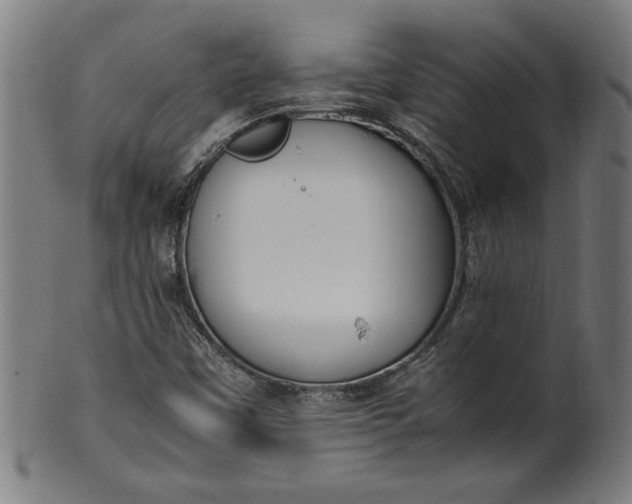 X0000099931451200806061442