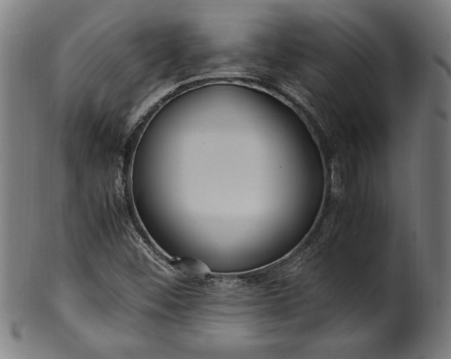 X0000099931452200806061442