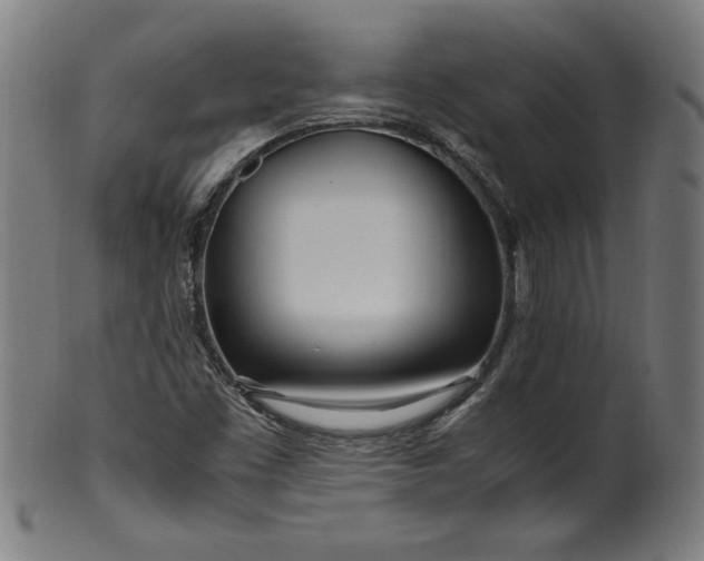 X0000099931453200806061442