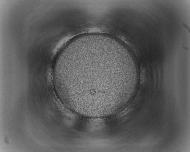 X0000099931454200806061442