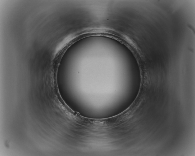 X0000099931456200806061442